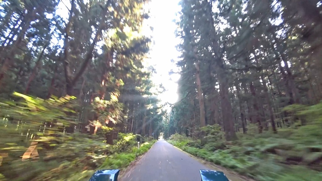 枝折峠・奥只見樹海ライン 国道352号